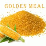 cornGlutenشرکت دام گستر رادپاسارگاد