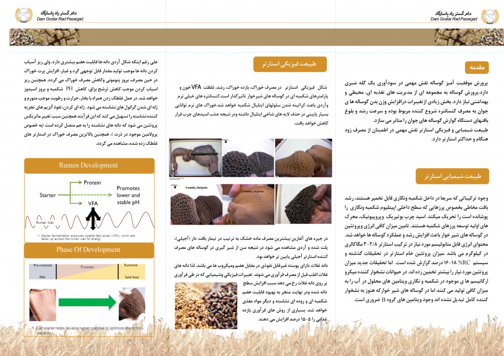 استارتر اجیلی سوپر فید | دام گستر راد پاسارگاد